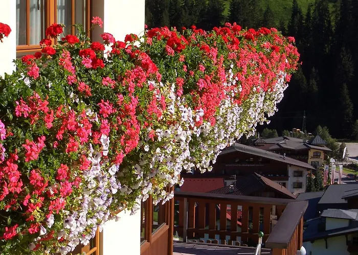 Apartmán Haus Panorama *