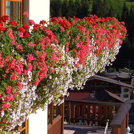 Apartment Haus Panorama *